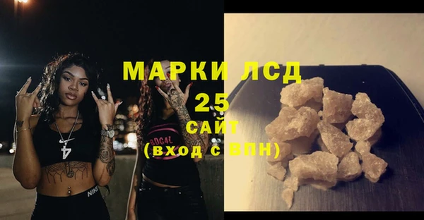 индика Краснослободск