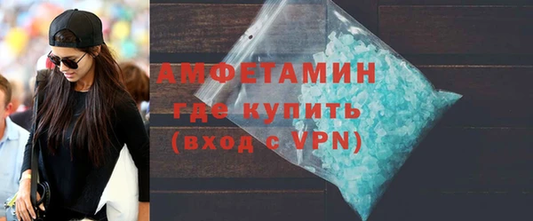 индика Краснослободск
