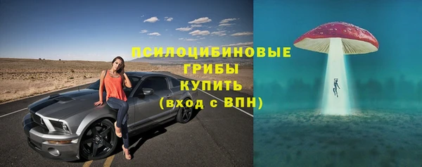 индика Краснослободск