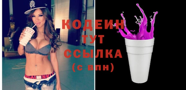 индика Краснослободск