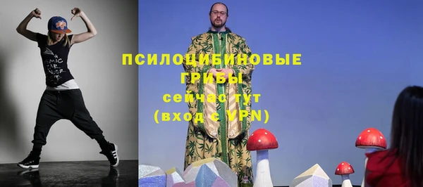 стафф Краснотурьинск
