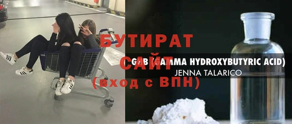 индика Краснослободск