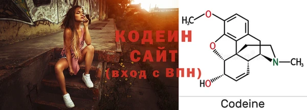 индика Краснослободск