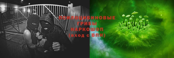 индика Краснослободск