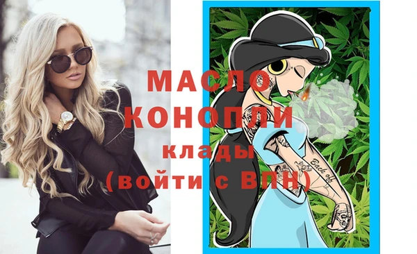 индика Краснослободск