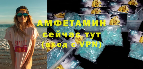 индика Краснослободск