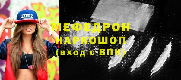 индика Краснослободск