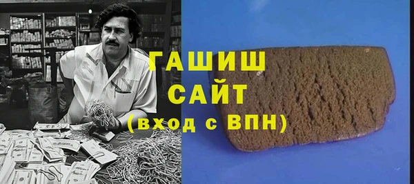 индика Краснослободск