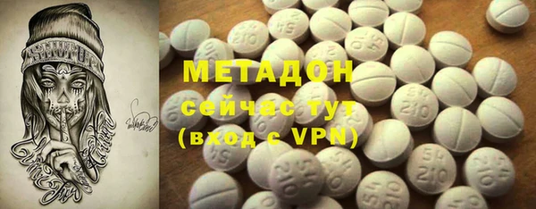 индика Краснослободск