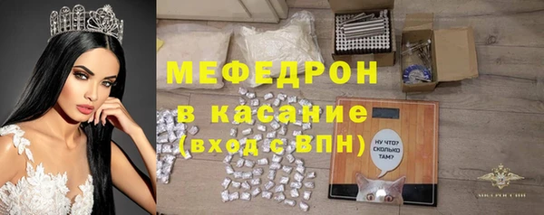 индика Краснослободск