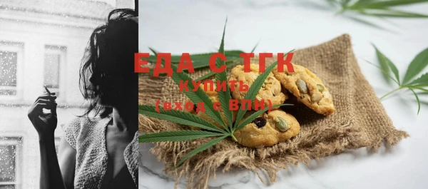 индика Краснослободск