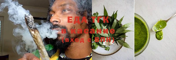индика Краснослободск